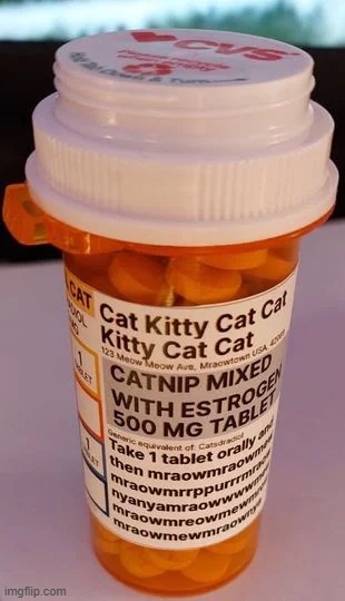 I WANT CATNIP MIXED WITH ESTROGEN!!!!!!!!!!!!!! | made w/ Imgflip meme maker