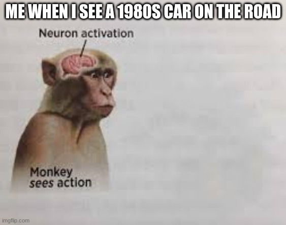 so true | ME WHEN I SEE A 1980S CAR ON THE ROAD | image tagged in neuron activation | made w/ Imgflip meme maker