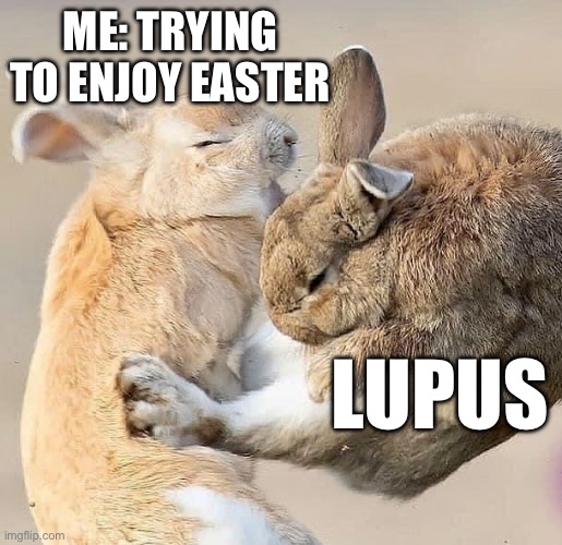 Lupus Bunny Comin to Town | ME: TRYING TO ENJOY EASTER; LUPUS | image tagged in bunny,easter,illness,sick,sickness | made w/ Imgflip meme maker