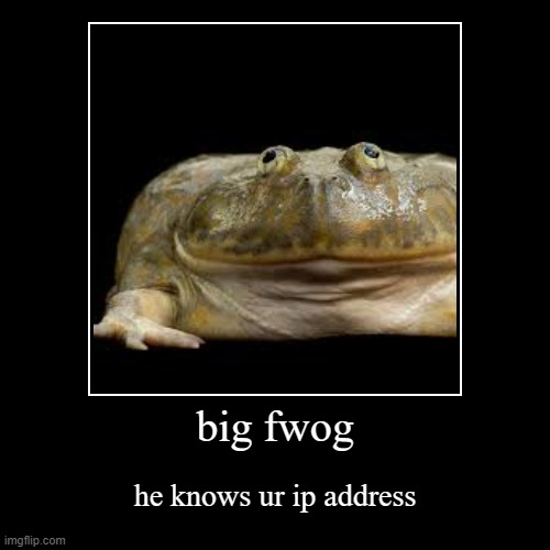 fwog | big fwog | he knows ur ip address | image tagged in funny,demotivationals | made w/ Imgflip demotivational maker