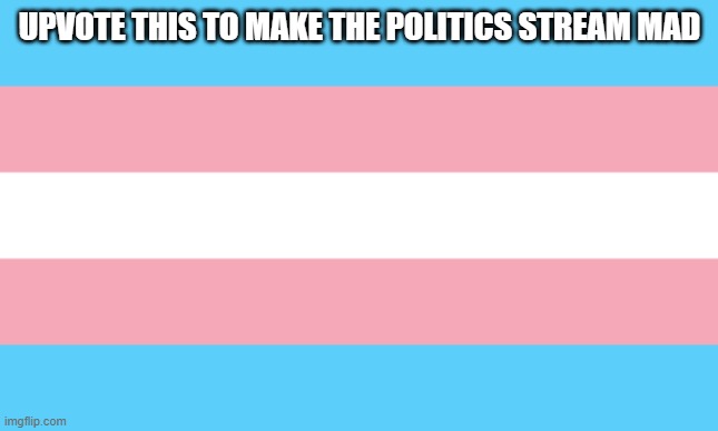 Trans Flag | UPVOTE THIS TO MAKE THE POLITICS STREAM MAD | image tagged in trans flag | made w/ Imgflip meme maker