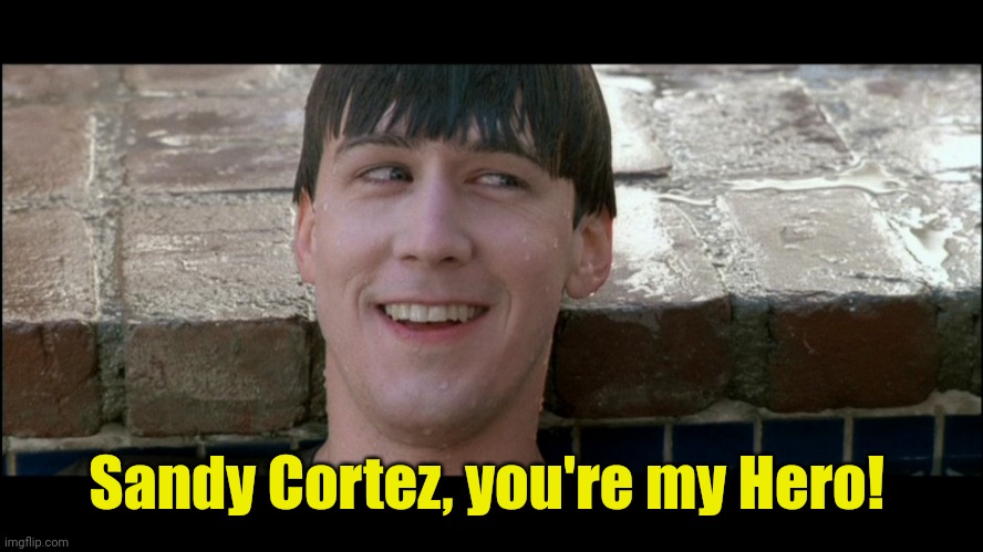 You're my hero | Sandy Cortez, you're my Hero! | image tagged in you're my hero | made w/ Imgflip meme maker