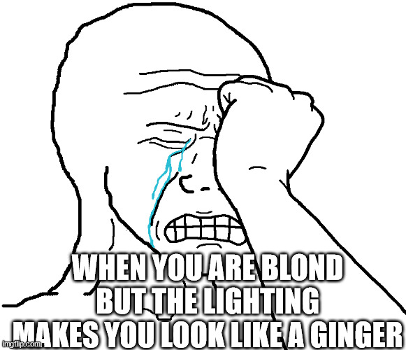 True story, happens a lot | WHEN YOU ARE BLOND BUT THE LIGHTING MAKES YOU LOOK LIKE A GINGER | image tagged in crying wojak with hand | made w/ Imgflip meme maker