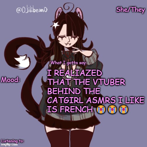 She/They; I REALIAZED THAT THE VTUBER BEHIND THE CATGIRL ASMRS I LIKE IS FRENCH 😭😭😭 | image tagged in silly_neko annoucment temp | made w/ Imgflip meme maker
