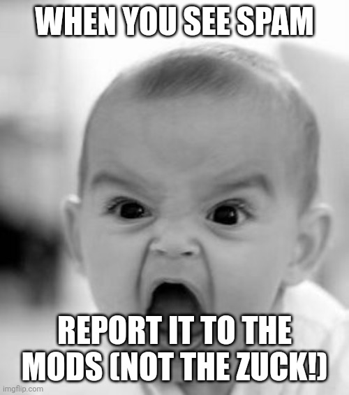 Angry Baby | WHEN YOU SEE SPAM; REPORT IT TO THE MODS (NOT THE ZUCK!) | image tagged in memes,angry baby | made w/ Imgflip meme maker