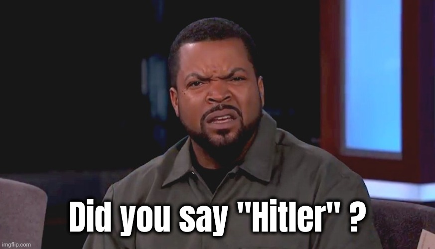 Really? Ice Cube | Did you say "Hitler" ? | image tagged in really ice cube | made w/ Imgflip meme maker