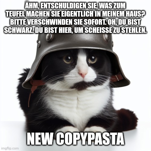 Kaiser_Floppa_the_1st silly post | ÄHM, ENTSCHULDIGEN SIE, WAS ZUM TEUFEL MACHEN SIE EIGENTLICH IN MEINEM HAUS? BITTE VERSCHWINDEN SIE SOFORT. OH, DU BIST SCHWARZ. DU BIST HIER, UM SCHEISSE ZU STEHLEN. NEW COPYPASTA | image tagged in kaiser_floppa_the_1st silly post | made w/ Imgflip meme maker