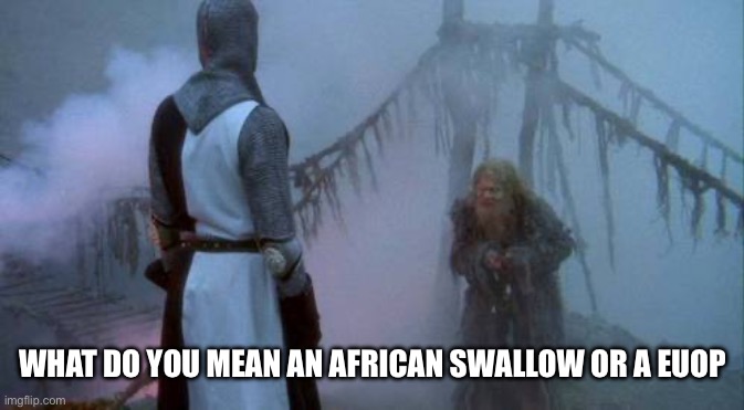 monty python swallow | WHAT DO YOU MEAN AN AFRICAN SWALLOW OR A EUROPEAN SWALLOW | image tagged in monty python swallow | made w/ Imgflip meme maker