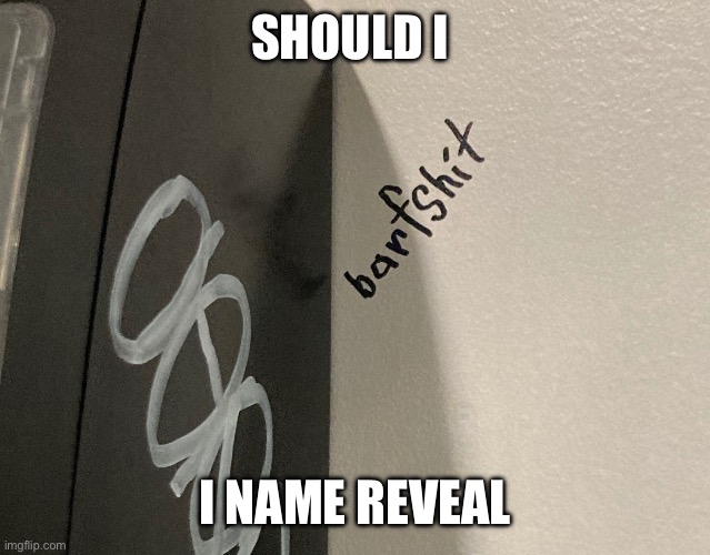 Barfshit | SHOULD I; I NAME REVEAL | image tagged in barfshit | made w/ Imgflip meme maker