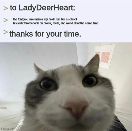 Cat looks inside | to LadyDeerHeart:; the font you use makes my brain run like a school issued Chromebook on crack, meth, and weed all at the same time. thanks for your time. | image tagged in cat looks inside | made w/ Imgflip meme maker