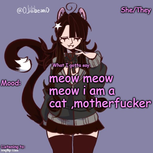 She/They; meow meow meow i am a cat ,motherfucker | image tagged in silly_neko annoucment temp | made w/ Imgflip meme maker