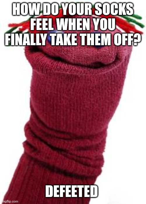 sock puppet | HOW DO YOUR SOCKS FEEL WHEN YOU FINALLY TAKE THEM OFF? DEFEETED | image tagged in sock puppet | made w/ Imgflip meme maker