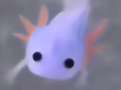 Minecraft axolotl real⁉️ Blank Meme Template