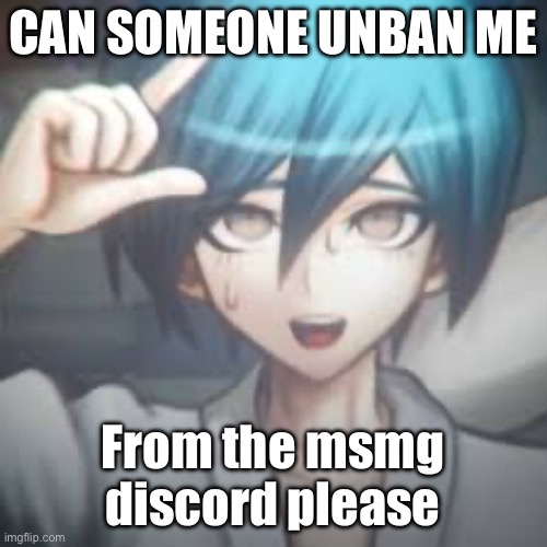 Shuichi L | CAN SOMEONE UNBAN ME; From the msmg discord please | image tagged in shuichi l | made w/ Imgflip meme maker