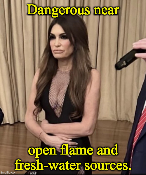 Kimberly Guilfoyle Dangers | Dangerous near; open flame and fresh-water sources. | image tagged in kimberly guilfoyle | made w/ Imgflip meme maker