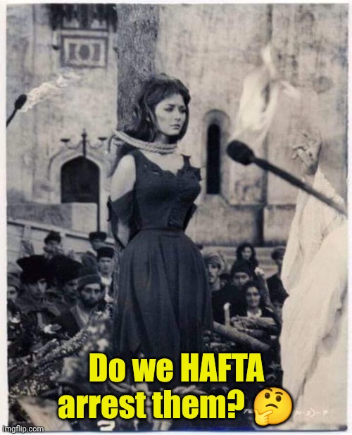 Witch Burned At The Stake | Do we HAFTA arrest them? ? | image tagged in witch burned at the stake | made w/ Imgflip meme maker