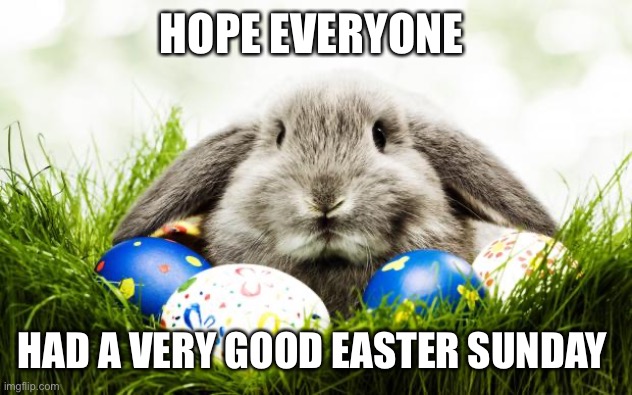 Easter bunny | HOPE EVERYONE; HAD A VERY GOOD EASTER SUNDAY | image tagged in easter bunny | made w/ Imgflip meme maker