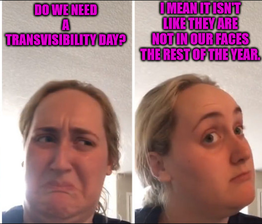 Transvisibility Day | I MEAN IT ISN'T LIKE THEY ARE NOT IN OUR FACES THE REST OF THE YEAR. DO WE NEED A TRANSVISIBILITY DAY? | image tagged in kombucha girl | made w/ Imgflip meme maker
