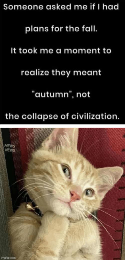 Kitty prepare for the fall | image tagged in cat,weather | made w/ Imgflip meme maker
