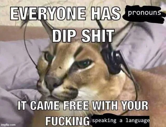 i understand not wanting to call someone by neos but please dont intentionally misgender them, use they/them if you care that mu | image tagged in everyone has pronouns dip shit | made w/ Imgflip meme maker