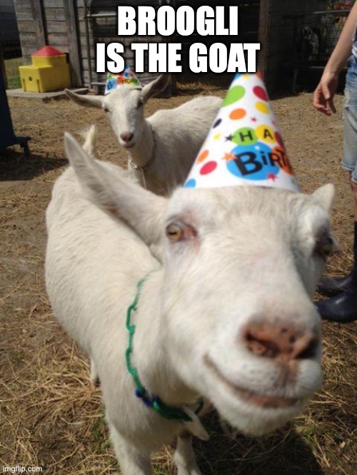 Goat Birthday | BROOGLI IS THE GOAT | image tagged in goat birthday | made w/ Imgflip meme maker
