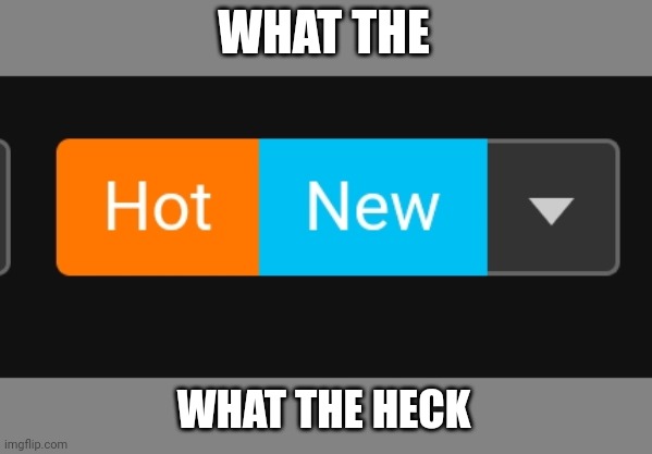 Glitch? | WHAT THE; WHAT THE HECK | image tagged in glitch,funny,fun | made w/ Imgflip meme maker