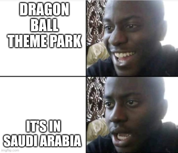 Young Man Smile Then Shock | DRAGON BALL THEME PARK; IT'S IN SAUDI ARABIA | image tagged in young man smile then shock | made w/ Imgflip meme maker