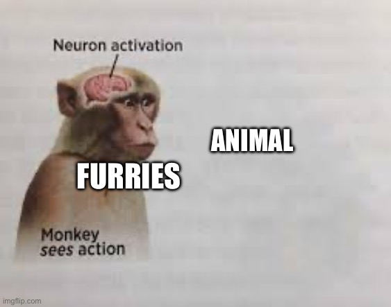 Neuron activation | ANIMAL; FURRIES | image tagged in neuron activation | made w/ Imgflip meme maker