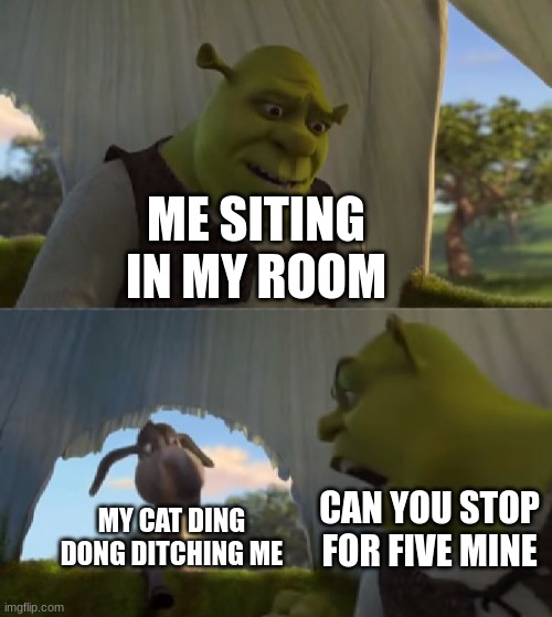 Could you not ___ for 5 MINUTES | ME SITING IN MY ROOM; MY CAT DING DONG DITCHING ME; CAN YOU STOP FOR FIVE MINE | image tagged in could you not ___ for 5 minutes | made w/ Imgflip meme maker