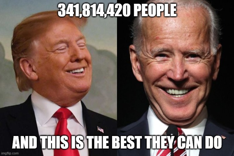 341 000 000 Meme | 341,814,420 PEOPLE; AND THIS IS THE BEST THEY CAN DO | image tagged in trump and biden | made w/ Imgflip meme maker