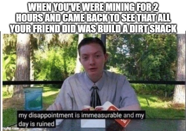 real | WHEN YOU'VE WERE MINING FOR 2 HOURS AND CAME BACK TO SEE THAT ALL YOUR FRIEND DID WAS BUILD A DIRT SHACK | image tagged in my dissapointment is immeasurable and my day is ruined | made w/ Imgflip meme maker