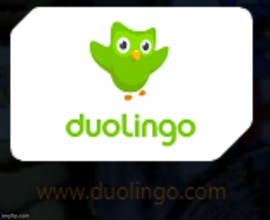 Is it my imagination or is Duolingo using the older bird model | made w/ Imgflip meme maker