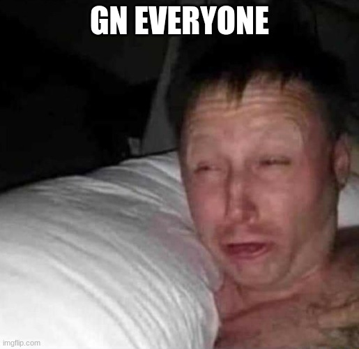 Sleepy guy | GN EVERYONE | image tagged in sleepy guy | made w/ Imgflip meme maker
