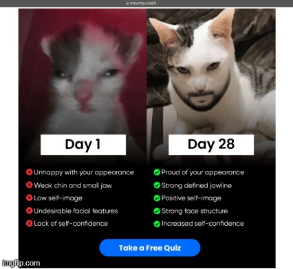 WHAT IS THIS AD AHHAHAHHAHA | made w/ Imgflip meme maker