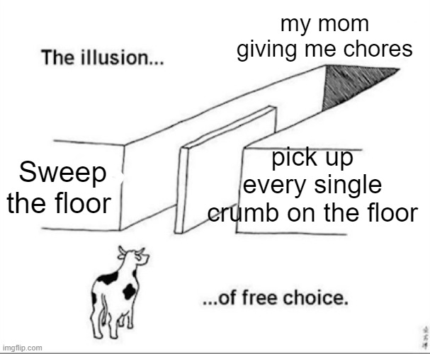 Illusion of free choice | my mom giving me chores; pick up every single crumb on the floor; Sweep the floor | image tagged in illusion of free choice | made w/ Imgflip meme maker