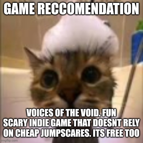 His dumbass is NOT taking a shower!!! | GAME RECCOMENDATION; VOICES OF THE VOID. FUN SCARY INDIE GAME THAT DOESNT RELY ON CHEAP JUMPSCARES. ITS FREE TOO | image tagged in his dumbass is not taking a shower | made w/ Imgflip meme maker