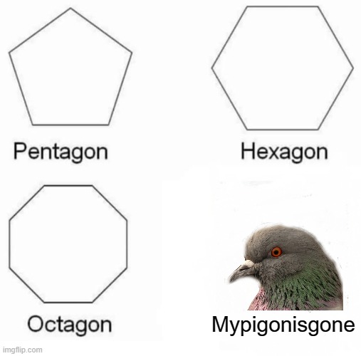 Pentagon Hexagon Octagon | Mypigonisgone | image tagged in memes,pentagon hexagon octagon | made w/ Imgflip meme maker