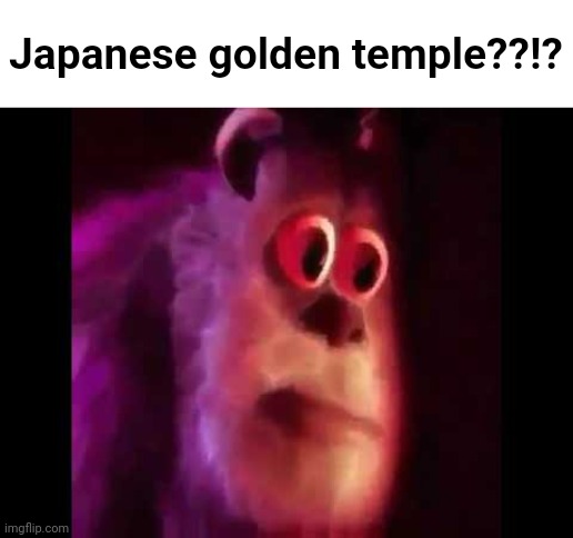 Sully Groan | Japanese golden temple??!? | image tagged in sully groan | made w/ Imgflip meme maker