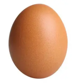 Egg Blank Meme Template