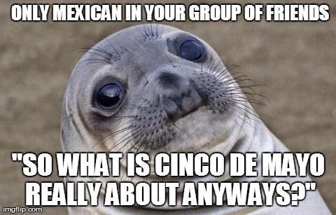 Awkward Moment Sealion | 
ONLY MEXICAN IN YOUR GROUP OF FRIENDS "SO WHAT IS CINCO DE MAYO REALLY ABOUT ANYWAYS?" | image tagged in awkward seal | made w/ Imgflip meme maker