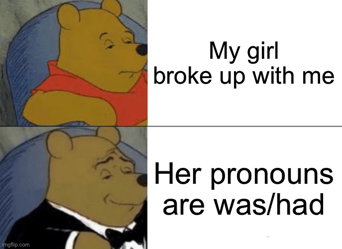 Tuxedo Winnie The Pooh | My girl broke up with me; Her pronouns are was/had | image tagged in memes,tuxedo winnie the pooh | made w/ Imgflip meme maker