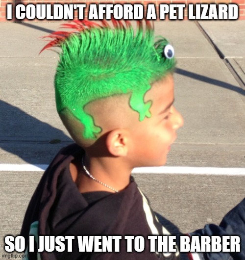 I told him to 'get creative' | I COULDN'T AFFORD A PET LIZARD; SO I JUST WENT TO THE BARBER | image tagged in bad haircut,memes | made w/ Imgflip meme maker