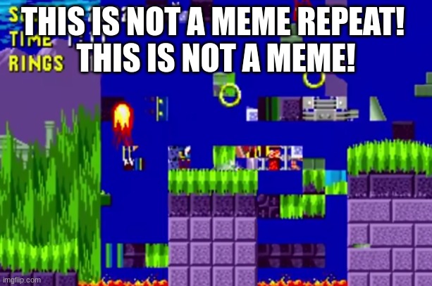 dumb thing I made | THIS IS NOT A MEME REPEAT! 
THIS IS NOT A MEME! | image tagged in dumb stuff | made w/ Imgflip meme maker