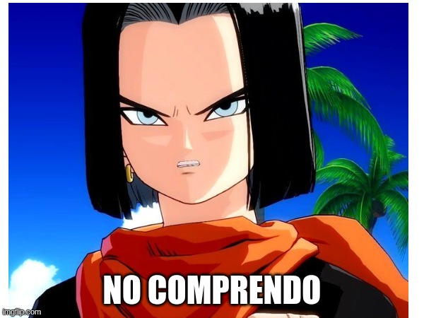 Android 17 No Comprendo | NO COMPRENDO | image tagged in dragon ball z,android 17,dbz,dbz meme | made w/ Imgflip meme maker