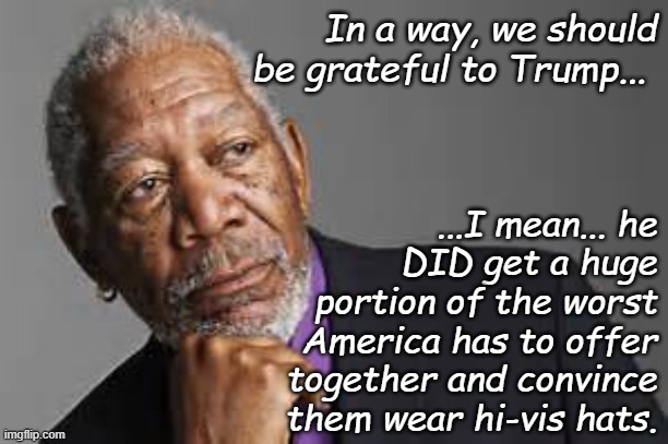 Deep Thoughts By Morgan Freeman  | In a way, we should be grateful to Trump... ...I mean... he DID get a huge portion of the worst America has to offer together and convince them wear hi-vis hats. | image tagged in deep thoughts by morgan freeman,traffic cones,deplorables | made w/ Imgflip meme maker