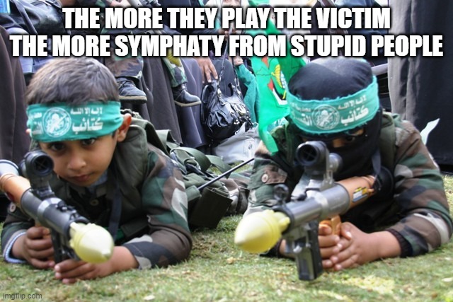 Hamas is teaching kids to become terrorists, how original. | THE MORE THEY PLAY THE VICTIM THE MORE SYMPHATY FROM STUPID PEOPLE | image tagged in hamas kids,israel,palestine,kids,delusional | made w/ Imgflip meme maker