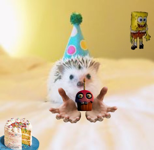Should I send her this | image tagged in birthday hedgehog | made w/ Imgflip meme maker