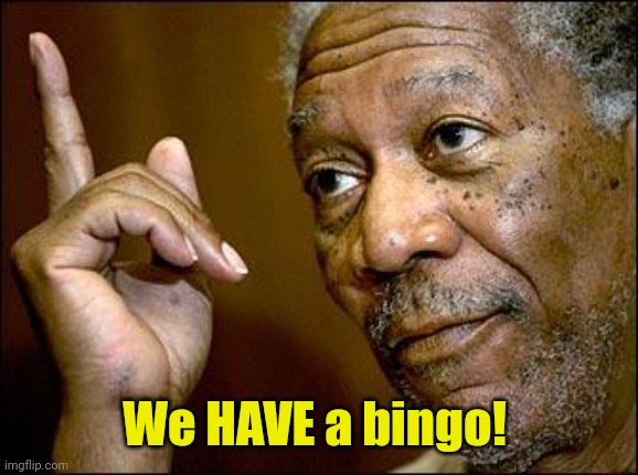 This Morgan Freeman | We HAVE a bingo! | image tagged in this morgan freeman | made w/ Imgflip meme maker