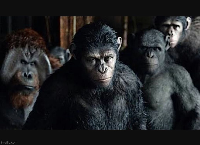 PLANET OF THE APES 2 | image tagged in planet of the apes 2 | made w/ Imgflip meme maker