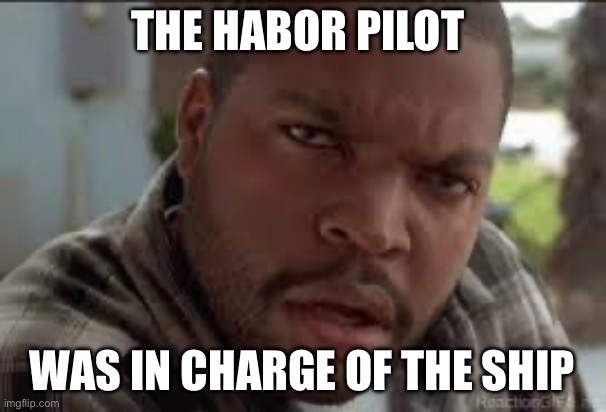 Dumb Ass | THE HABOR PILOT WAS IN CHARGE OF THE SHIP | image tagged in dumb ass | made w/ Imgflip meme maker